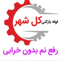 لوله بازکنی*45%تخفیف*رفع نمزدگی بدون خرابی|خدمات پیشه و مهارت|مشهد, هدایت|دیوار