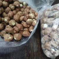 مغز فندوق|خوردنی و آشامیدنی|اصفهان, خواجو|دیوار
