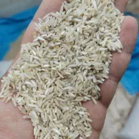 برنج شیرودی دودی