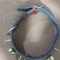 قلاده سگ|لوازم جانبی حیوانات|مشهد, باغون آباد|دیوار