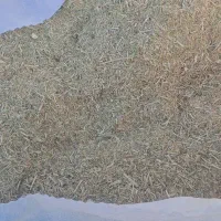 کاه کسن و کاه نخود سبز...و نخود پاک شده|حیوانات مزرعه|لردگان, |دیوار