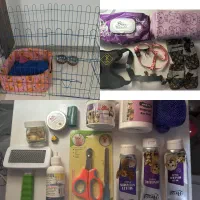 سگ پامرانین|سگ|تهران, توحید|دیوار