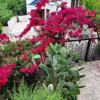 به قیمت ترین ویلای شهرکی با نگهبانی و سند ششدانگ