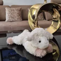 عروسک|اسباب‌بازی بچه|رشت, رودبارتان|دیوار