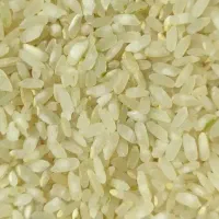 برنج کامفیروزی