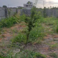 فروش باغ روستای زیبا وسرسبز والش آباد|فروش زمین و ملک کلنگی|گرگان, |دیوار