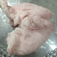 دنبه بره یک تیکه