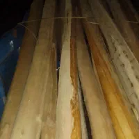 خرید چوب خشک و ضایعات باغی|خدمات باغبانی و درختکاری|مراغه, |دیوار