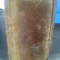 عسل درجه یک چهارمحال بختیاری|خوردنی و آشامیدنی|اردکان, |دیوار