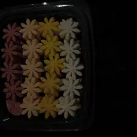 قند و نبات|خدمات پذیرایی، مراسم|فولادشهر, A3|دیوار