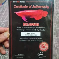 آروانا سوپر رد|ماهی|تهران, توحید|دیوار