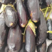 بادنجون هویج