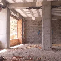 کارجو