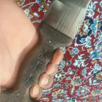 چاقو کپوری|کوهنوردی و کمپینگ|اصفهان, آزادان|دیوار