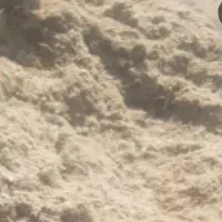 باگاس(کاه نیشکر)