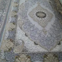 ۴ عدد فرش ۶ متری|فرش|فولادشهر, فولادشهر|دیوار