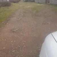 ۳۳۰ متری دوبر باغی هلوکله شمشاد کاسبی|فروش زمین و ملک کلنگی|چابکسر, |دیوار