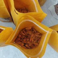 مغز بادام ایرانی|خوردنی و آشامیدنی|شیراز, کیان شهر|دیوار