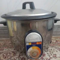 پلوپز برقی کاملا سالم