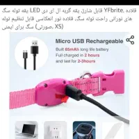 لوازم جانبی حیوانات|لوازم جانبی حیوانات|تهران, جوانمردان (اندیشه)|دیوار