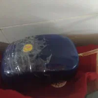 ماهی اکواریوم