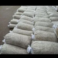 تفاله چغندر بسته بندی|عمدهفروشی|آق قلا, |دیوار