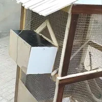 قفس .گنجه. لانه|لوازم جانبی حیوانات|سراوان, |دیوار