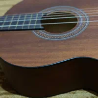 گیتار پارسی مدل M2|گیتار، بیس، امپلیفایر|دزفول, |دیوار