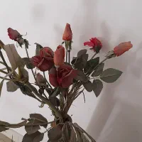 گل گندمی وگلدان بامبو با گل|گل مصنوعی|تهران, سلسبیل جنوبی|دیوار