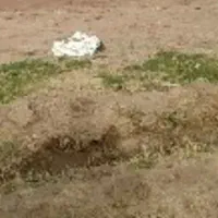 یک قطعه زمین  در حاشیه خیابان