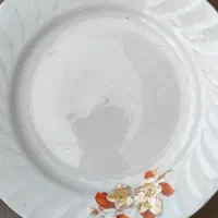 میوه خوری شیرینی خوری وبرنج خوری چینی|ظروف سرو و پذیرایی|سنندج, |دیوار