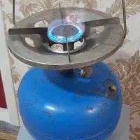 پیک نیک سالم پر پر