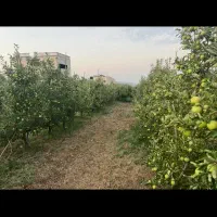 فروش زمین شهرک ویلایی لوکس