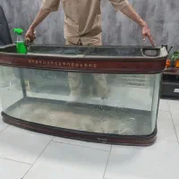 آکواریوم سایز بزرگ