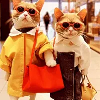 فروشنده حرفه ای بوتیک کودک ونوجوان