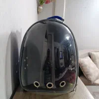 کیف حمل گربه