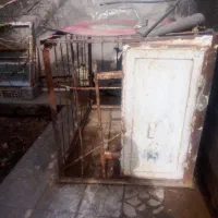 قفس کفتر پرنده