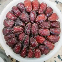 فروش عمده خرما درجه یک بشرط.