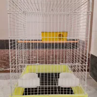 قفس پرنده|لوازم جانبی حیوانات|ارومیه, |دیوار