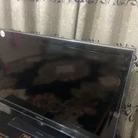 ال سی دی۴۳