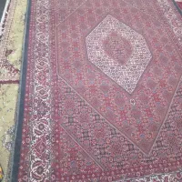 فرش بسیار زیبا وخوش نقش|فرش|ایجرود, |دیوار