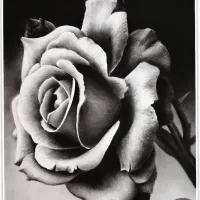 آموزش سیاه قلم و رشته های مختلف نقاشی با مدرک|خدمات آموزشی|شیراز, پارک آزادی|دیوار