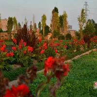 کارت ملی بنام مهدی آستانی