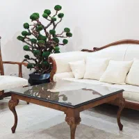 ست مبلمان(+ناهارخوری) چپندر کلاسیک انگلیسی درحدنو