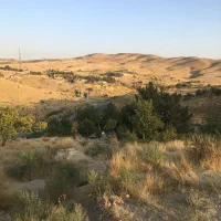 زمین تلو حکیمه ۲۲۵ متری و ۵۰۰ متری|فروش زمین و ملک کلنگی|تلو, |دیوار