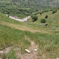 فروش زمین چورژی