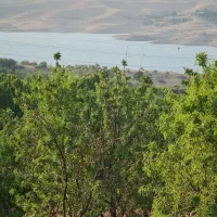 باغ ویلا سد زاینده رود چادگان