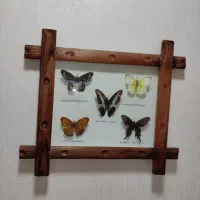 تابلو نفیس پروانه