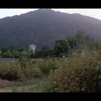 زمین-شهسوار-رامسر-گیلان-بومگردی-کلبه