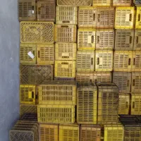 سبد پلاستیکی